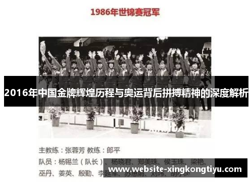2016年中国金牌辉煌历程与奥运背后拼搏精神的深度解析